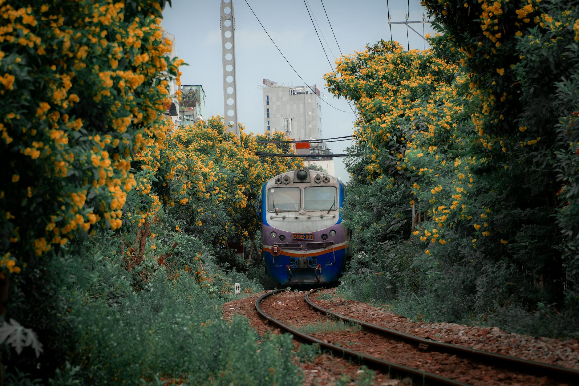 train passing bend among tree and flowers