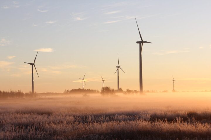 photo of windmills during dawn