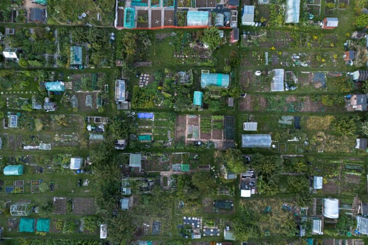 birds eye view of green gardens